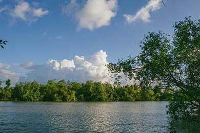 【香港1月底官方外汇储备资产为4356亿美元】香港金融管理局今日（2月6日）公布，香港于2026年1月底的官方外汇储备资产为4356亿美元（2025年12月底为4279亿美元）。2026年1月底及2025年12月底并无未交收外汇合约。为数4356亿美元的外汇储备资产总额，相当于香港流通货币...