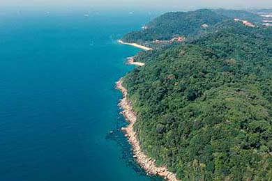 【香港1月底官方外汇储备资产为4356亿美元】香港金融管理局今日（2月6日）公布，香港于2026年1月底的官方外汇储备资产为4356亿美元（2025年12月底为4279亿美元）。2026年1月底及2025年12月底并无未交收外汇合约。为数4356亿美元的外汇储备资产总额，相当于香港流通货币...