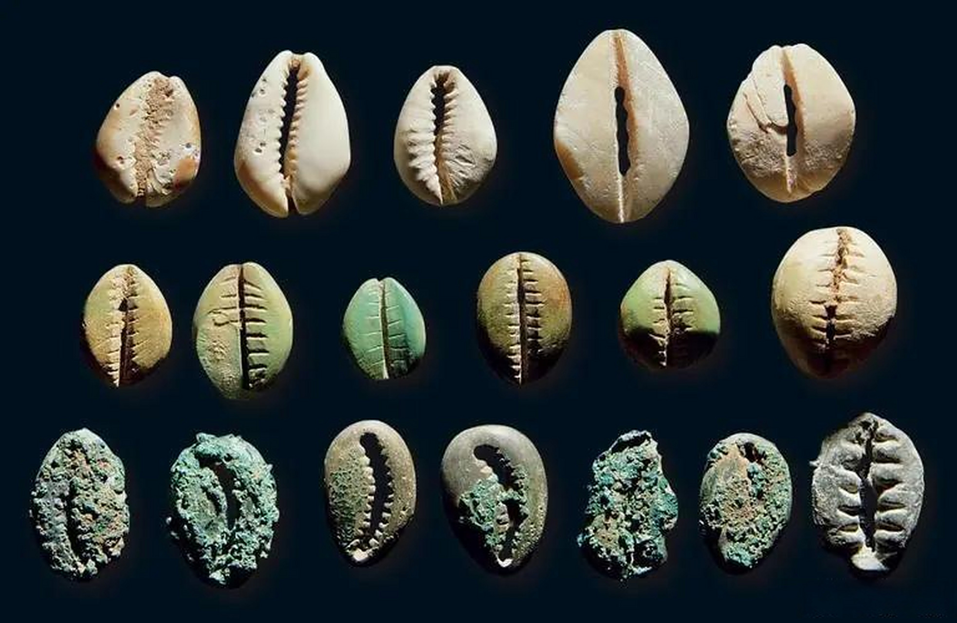 小贝壳虚拟币(小贝壳钱包官网) 小贝壳虚拟币(小贝壳钱包官网)