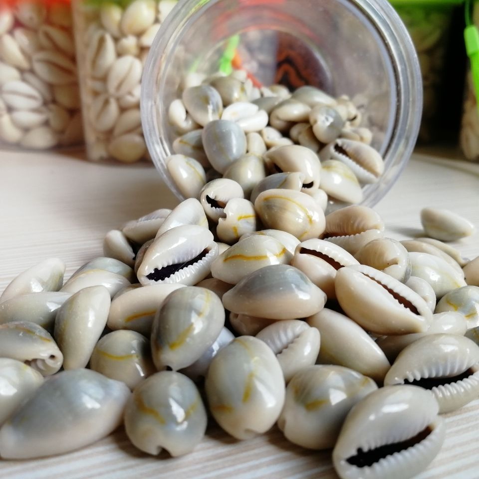 小贝壳虚拟币(小贝壳钱包官网) 小贝壳虚拟币(小贝壳钱包官网)