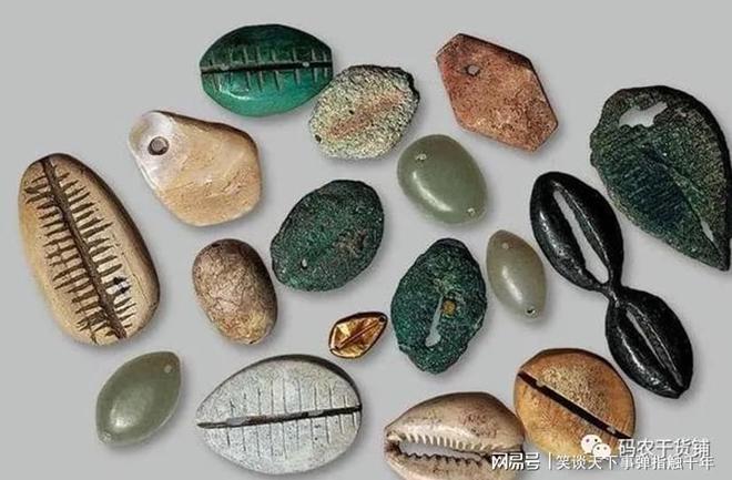 小贝壳虚拟币(小贝壳虚拟币每天涨一分) 小贝壳虚拟币(小贝壳虚拟币每天涨一分)