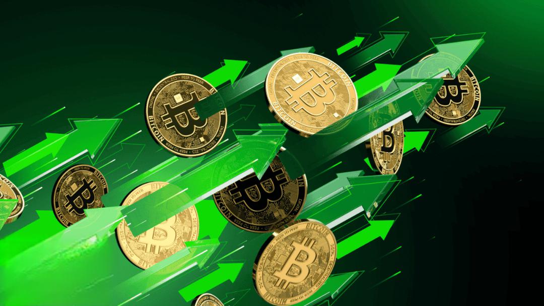 关于火比比特币的信息