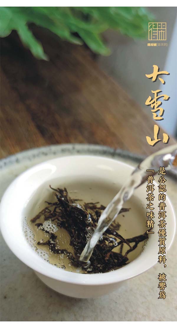 雪山古树虚拟币(雪山古树虚拟币怎么获得)