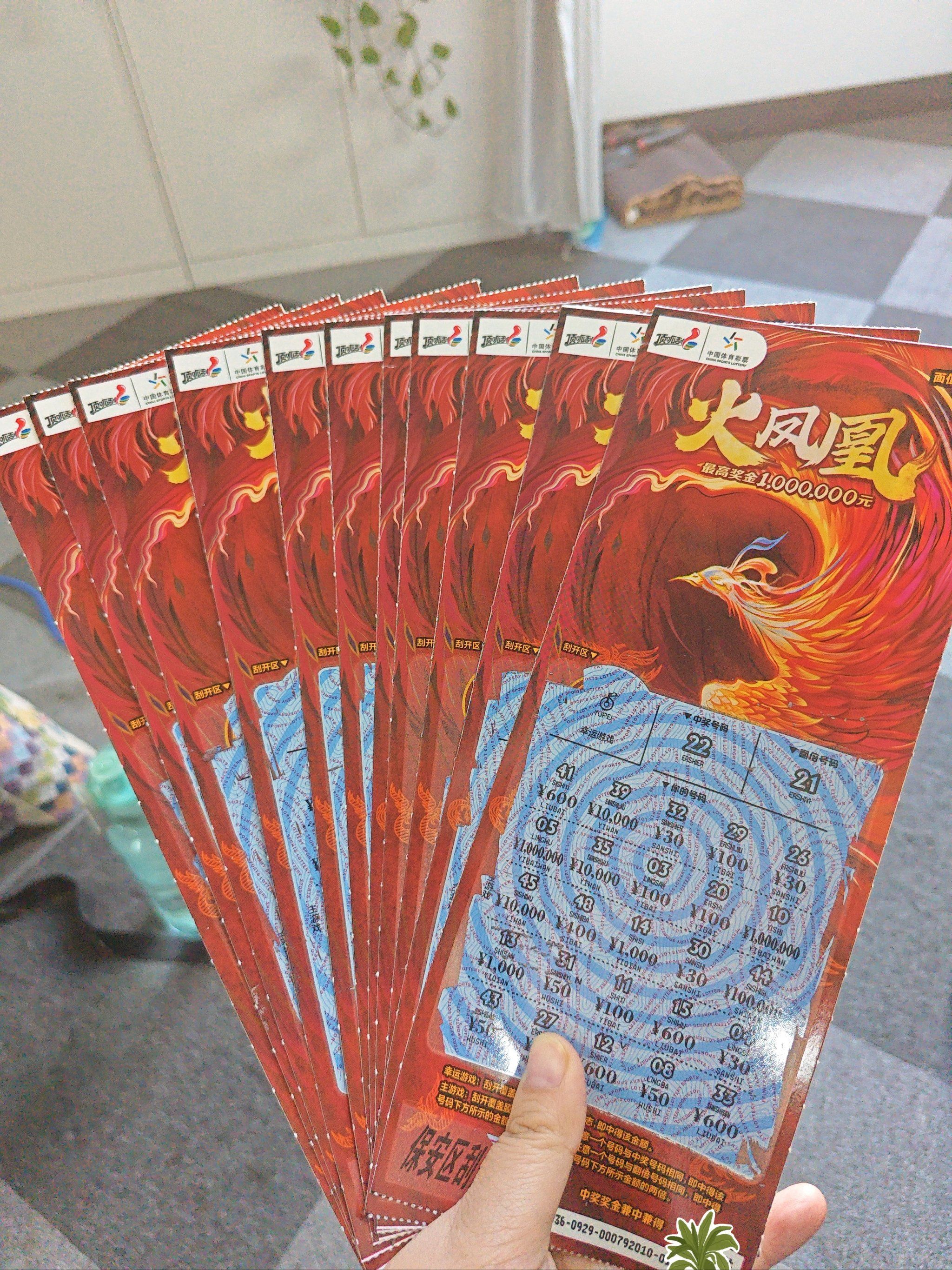 啥火币(沙火山长什么样)