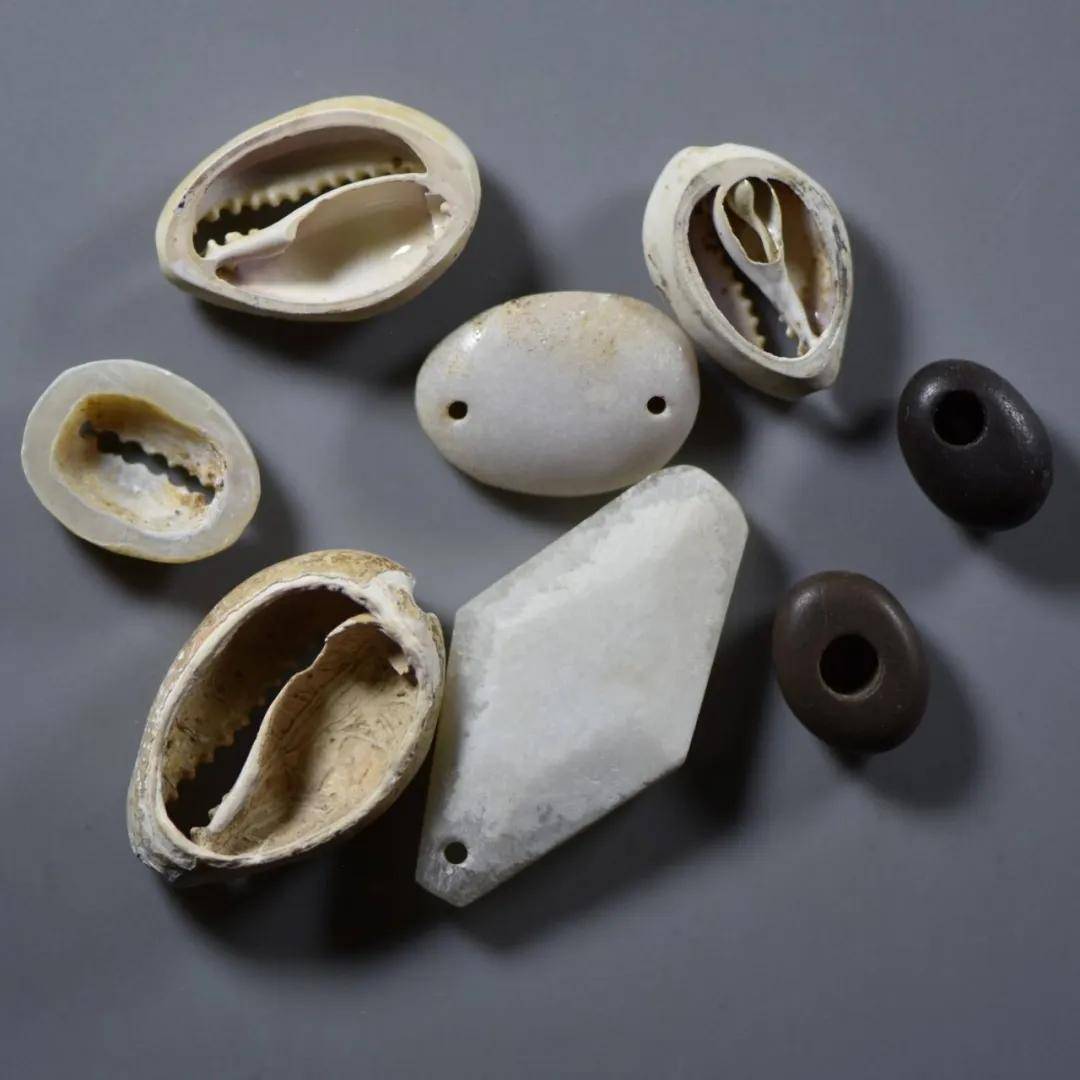 小贝壳虚拟币(小贝壳平台交易怎么玩)